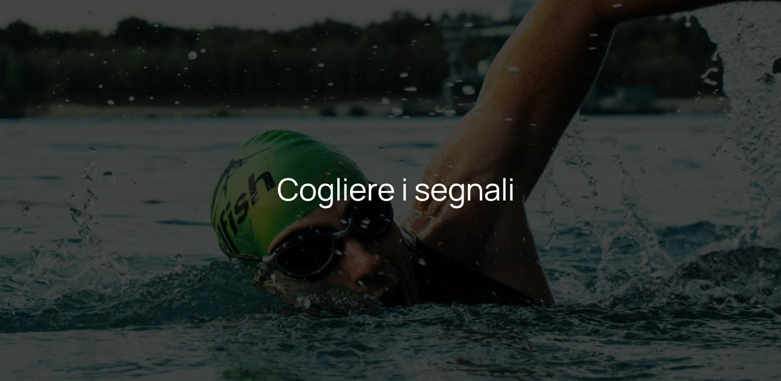 Cogliere i segnali